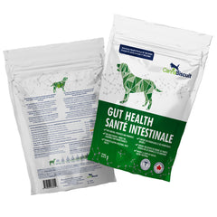 Gut Health