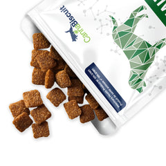 Gut Health
