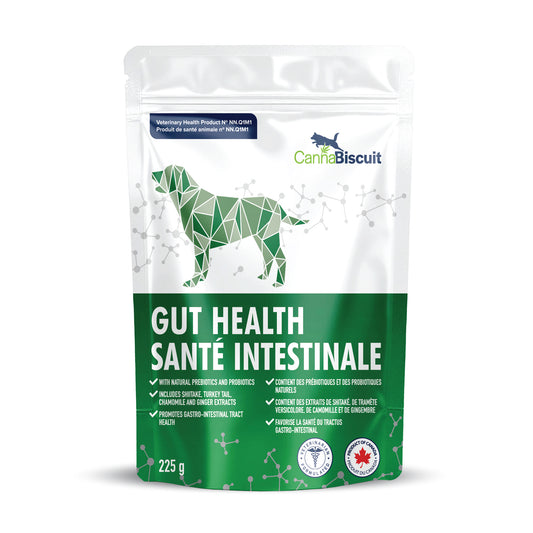Gut Health