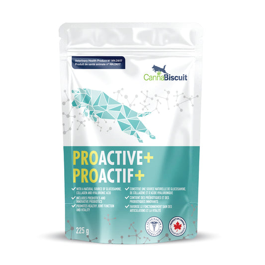 ProActive+