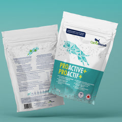 ProActive+