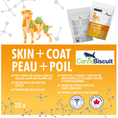 Skin+Coat